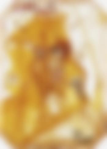 DER ERSTE EINSIEDLER 'DELIOZ' (preview)