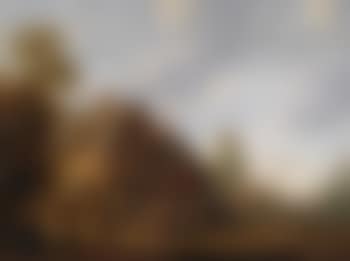 Ein dorfanger mit zechenden bauern vor einem wirtshaus (preview)