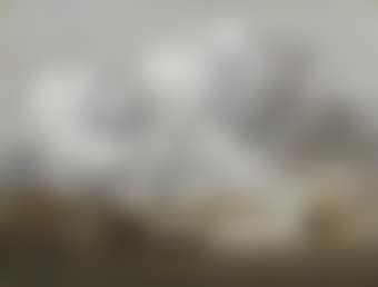 An estuary with a small ship being caulked in the foreground (preview)