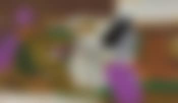 Projet de tapisserie (preview)