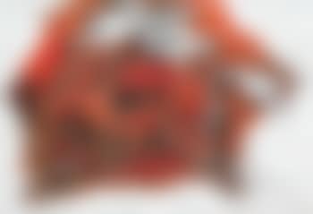 Untitled (preview)