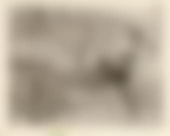 Before the Fireplace (No 1) (Breeskin 64) (preview)