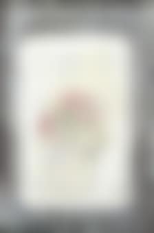 Vase and Flowers (preview)