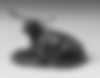 Longhorn (preview)
