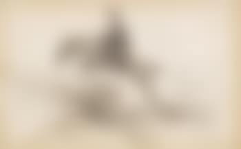 Horse and woman rider hurdling a bush fence (preview)