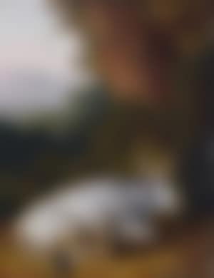 Ein paar tierdarstellungen: Liegende weiße kuh vor landschaft hintergrund. Stehende braune kuh vor berggesäumter ebene (preview)