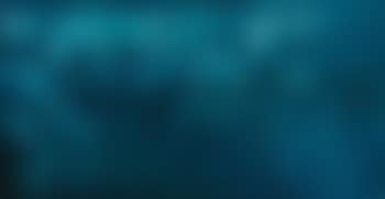 Tale of a fish. Abstract (preview)