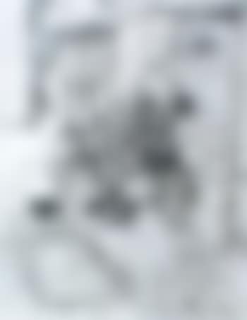 Study for Begonia's 1974 (Mother in laws) (preview)