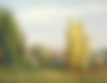 Poplars, Nelson (preview)