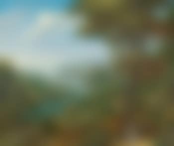 Bewaldete Flußlandschaft mit einer burganlage und figuren (preview)