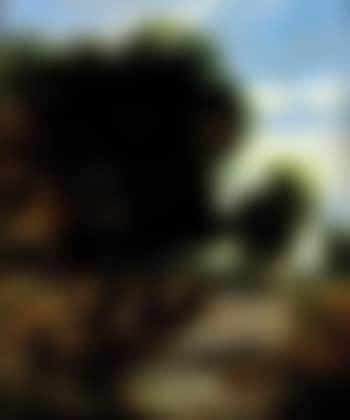 Rocky stream in a wooded landscape (preview)