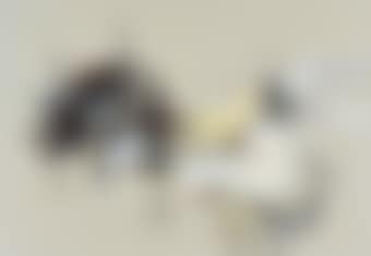 Landscape in my head (preview)