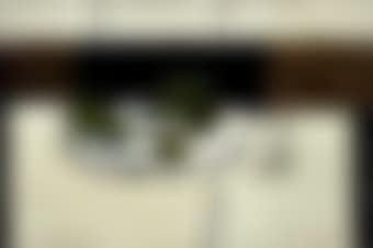 Still Life (preview)