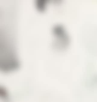 Nude (preview)
