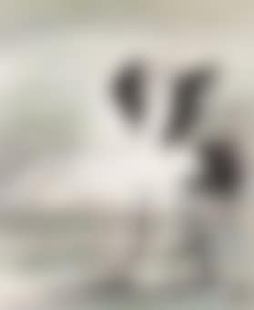 Spirited Crane (preview)