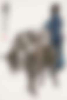 Girl and Donkeys (preview)
