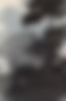 Lotus in the Rain (preview)