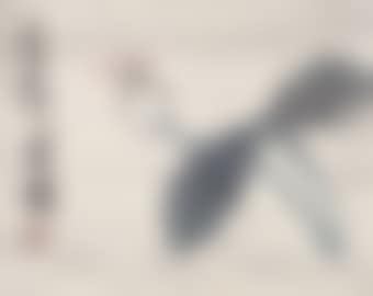 Dragonfly and Lotus (preview)
