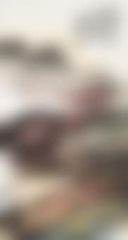 Landscape (preview)