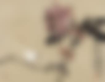 Flower and Bird (preview)