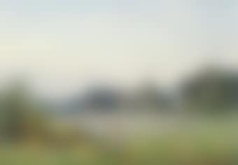 The blackberry pickers (preview)