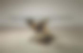 Dining table (preview)