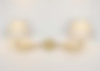 Two-arm wall light (preview)