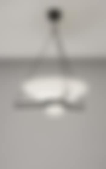 Rare ceiling light (preview)