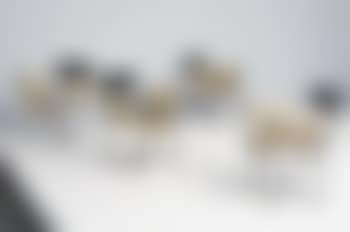 Set of four Tropique chairs (preview)