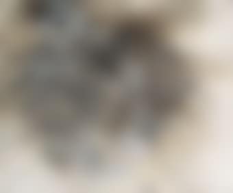 Gun Powder Painting No. 08-66 (preview)