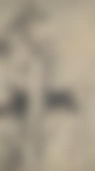 Bamboo (preview)