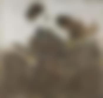 Paysage de Terre (preview)