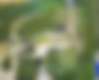 Truite (preview)