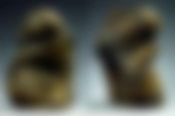 Biopsy series 2 (M122/105) (preview)