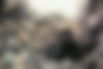 1 Year Old Mountain Gorilla, Rwanda Before the Genocide. (preview)