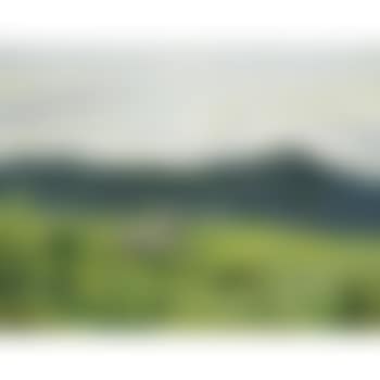 Zebras In Der Steppe (Zebra On The Steppe) (preview)