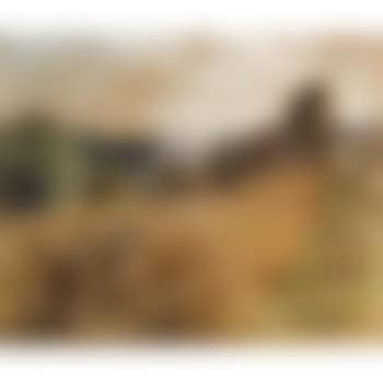 La Fenaison (preview)