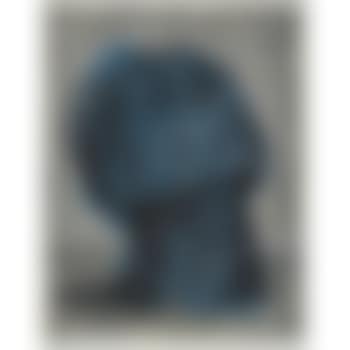 Blue Head (preview)