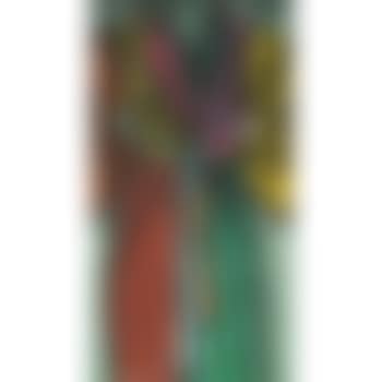 Fourteen Color Woodcut Bathrobe (Doench And Feinberg 112) (preview)