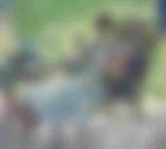 Day Dreams (preview)