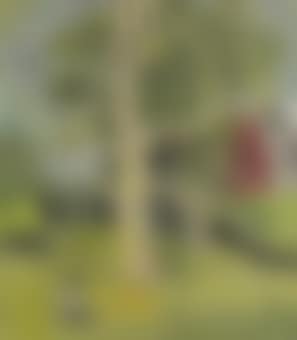The Trees (preview)