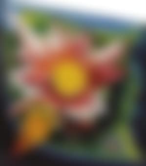 The Water Lily (preview)