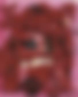 Erzbaby de Revolution IV (im Brutall) (preview)