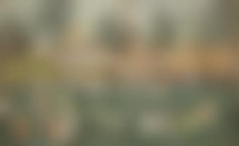 Siena (preview)