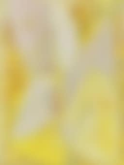 Sonate IV (preview)