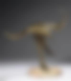 Oiseau (preview)