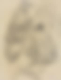 Sketch of two African natives, Zaire (preview)