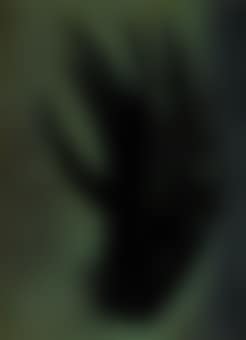 T1957-13 (preview)