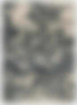 The Four Horsemen, from: The Apocalypse (B. 64; M., Holl. 167; S.M.S. 115) (preview)