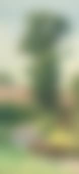 A country lane (preview)